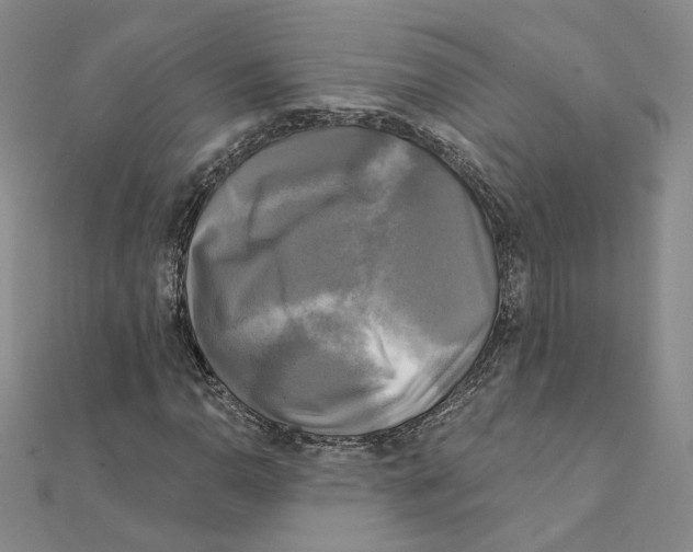 X0000111221110200907301219