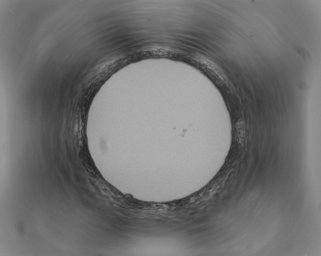 X0000111221111200907301219