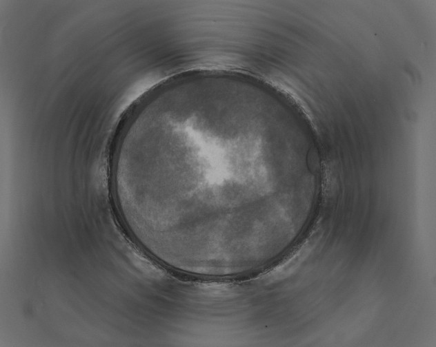 X0000111221114200907301219