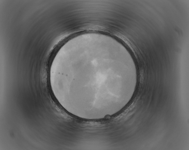 X0000111221115200907301219