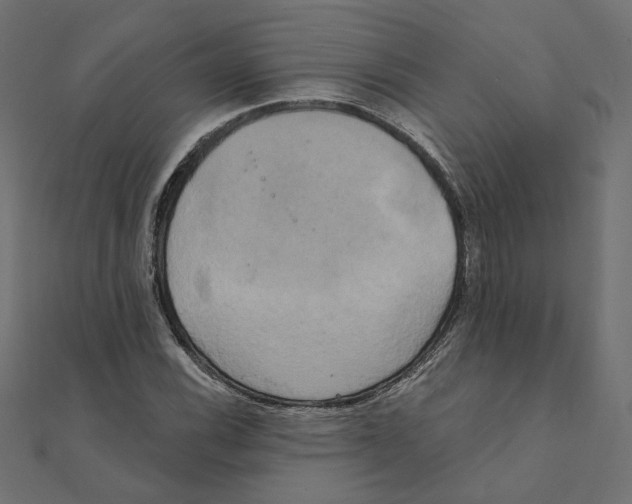 X0000111221116200907301219
