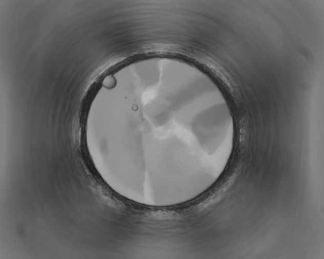 X0000111221117200907301219