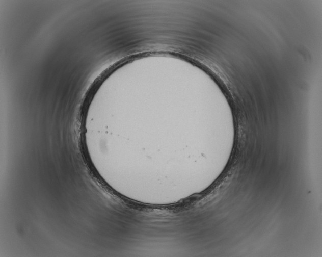 X0000111221119200907301219