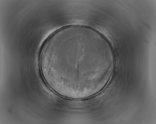 X0000111221120200907301219