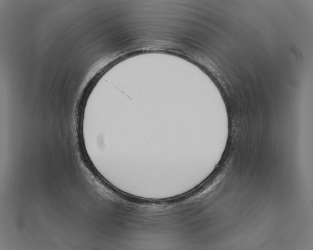 X0000111221122200907301219