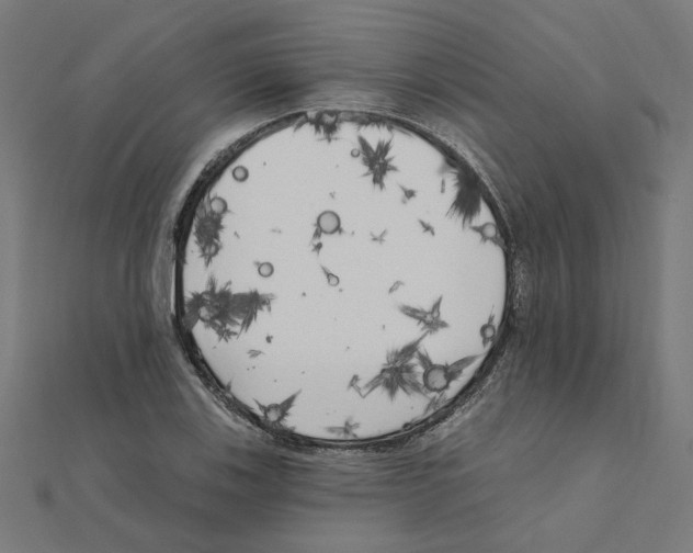 X0000111221123200907301219