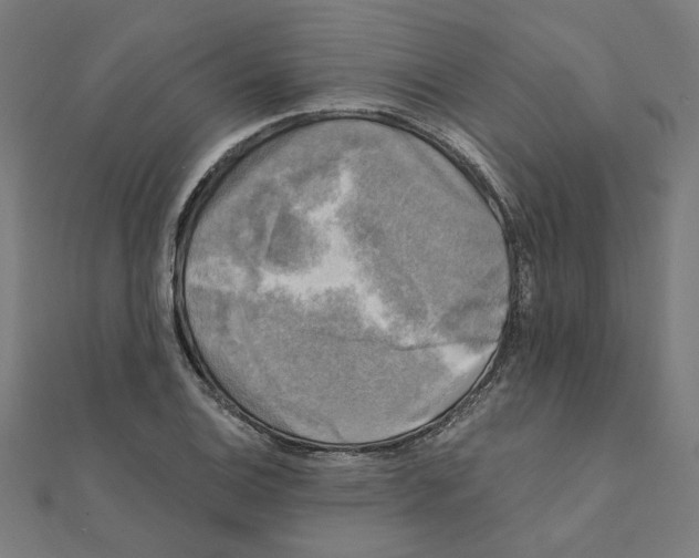 X0000111221124200907301219