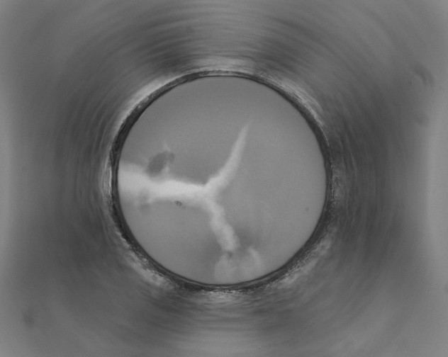 X0000111221125200907301219