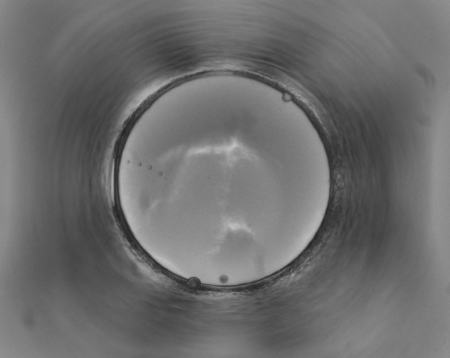 X0000111221127200907301220