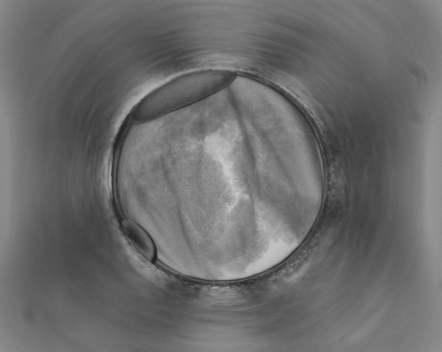X0000111221128200907301220