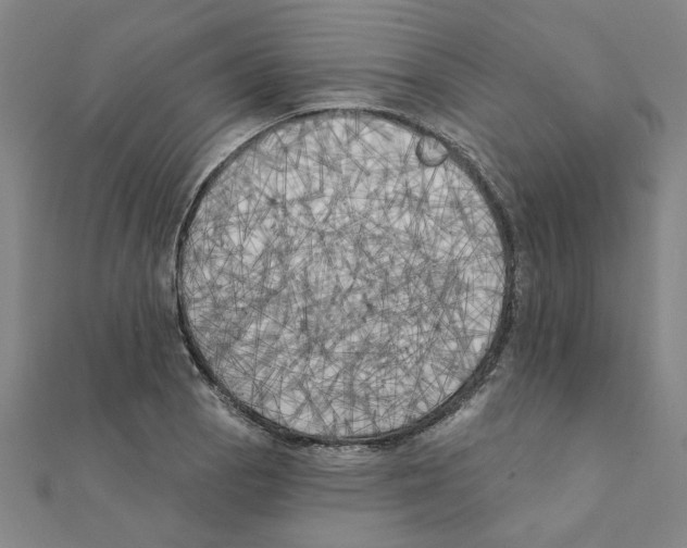 X0000111221129200907301220