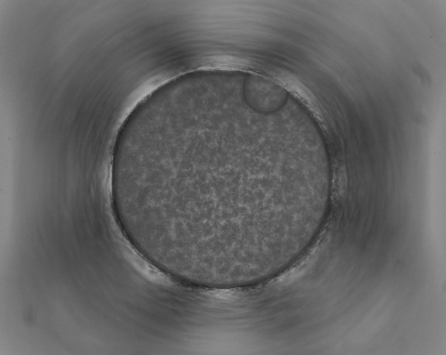 X0000111221130200907301220