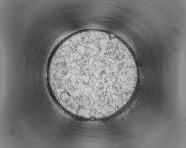 X0000111221133200907301220