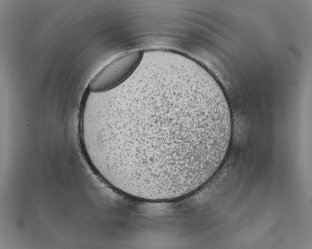 X0000111221134200907301220