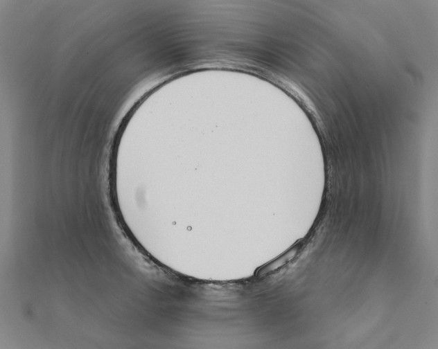 X0000111221138200907301220