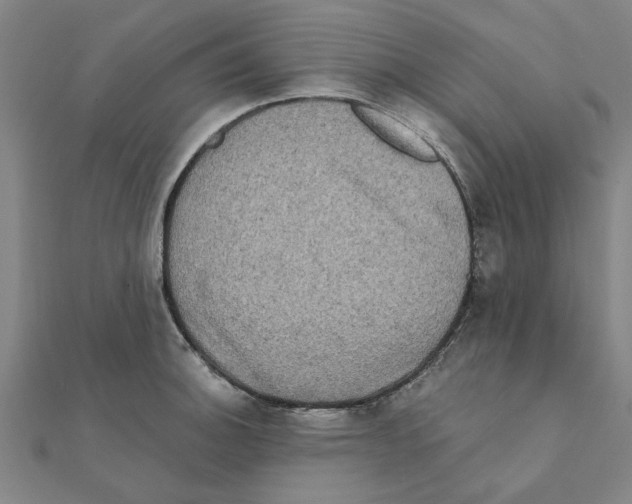 X0000111221140200907301220
