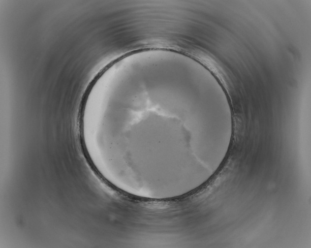 X0000111221141200907301220