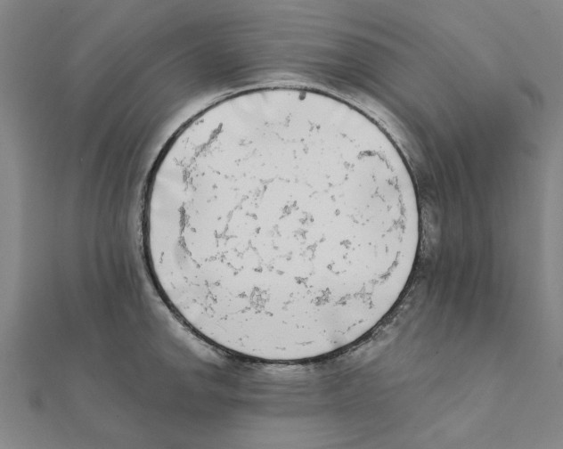 X0000111221142200907301220
