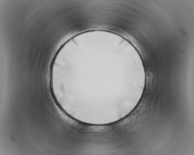 X0000111221143200907301220