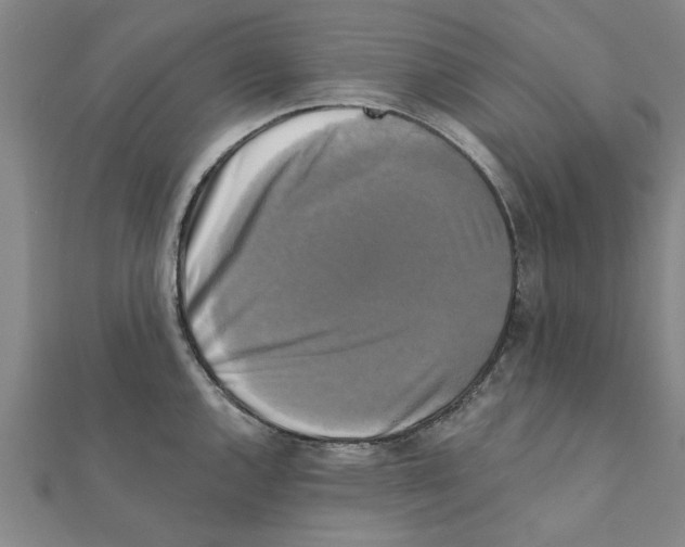 X0000111221144200907301220