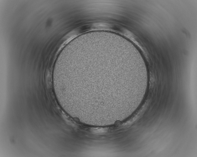 X0000111221145200907301220