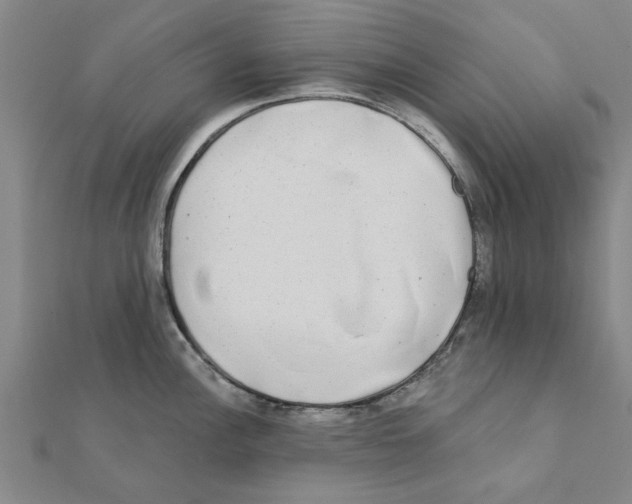 X0000111221148200907301220