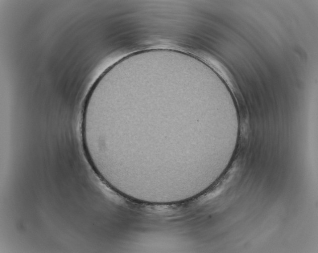 X0000111221149200907301220