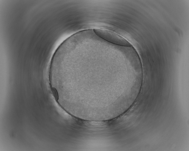 X0000111221152200907301220