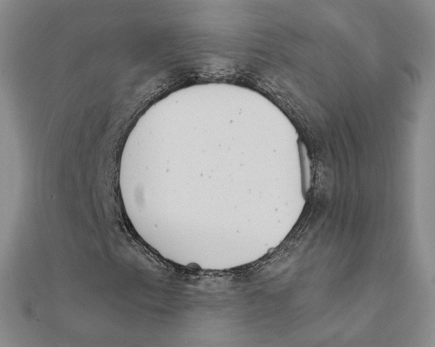 X0000111221153200907301219