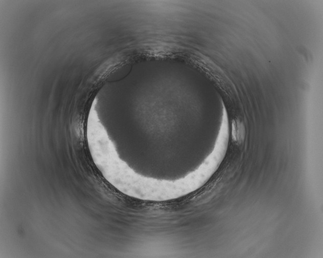 X0000111221155200907301219