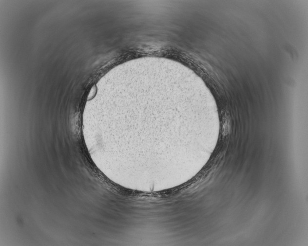 X0000111221156200907301219