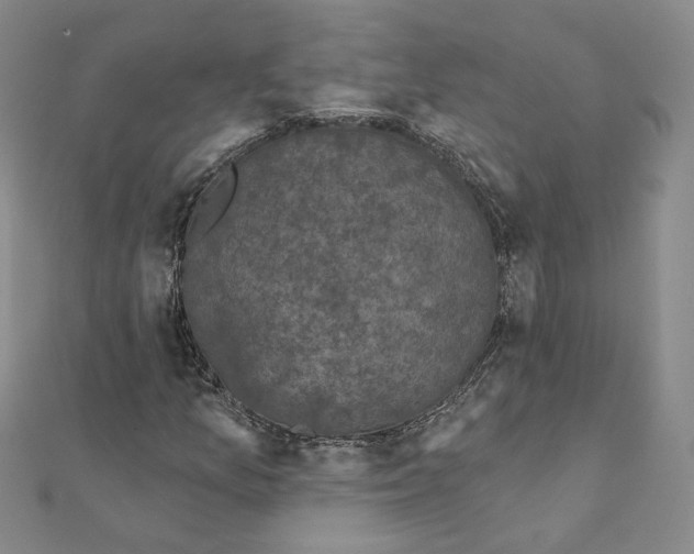 X0000111221157200907301219