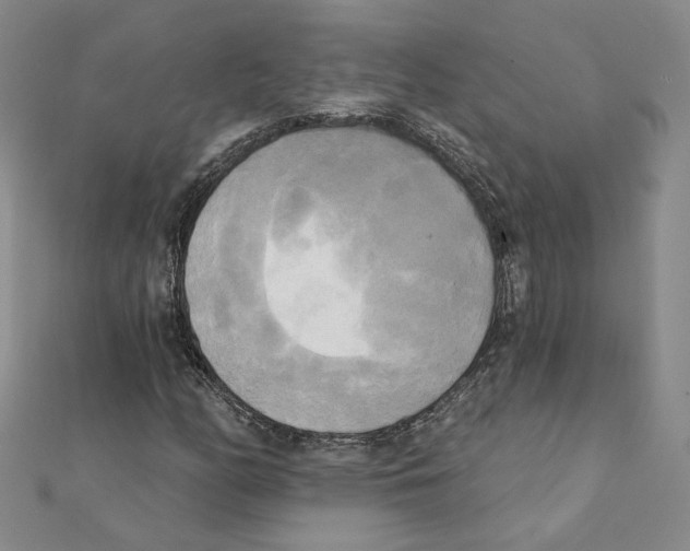 X0000111221158200907301219