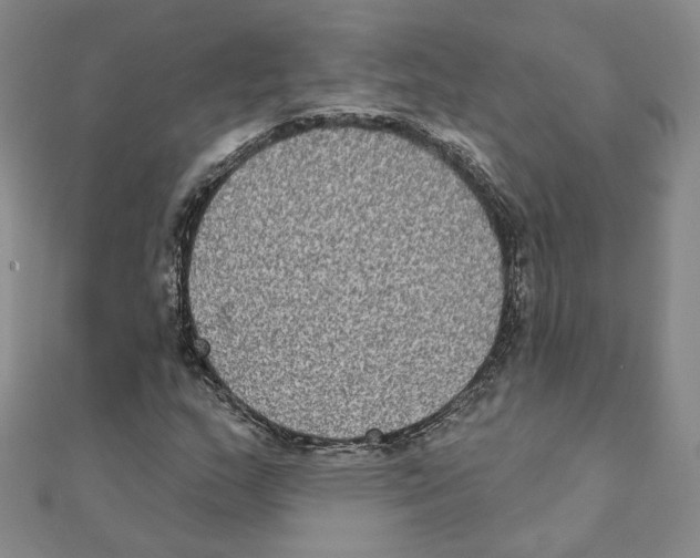 X0000111221159200907301219