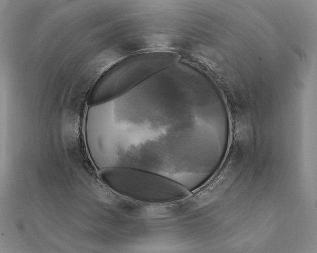 X0000111221161200907301219