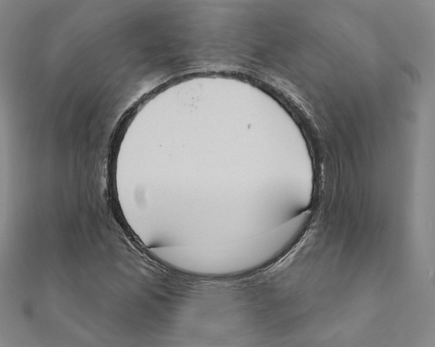 X0000111221165200907301219