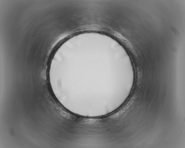 X0000111221166200907301219