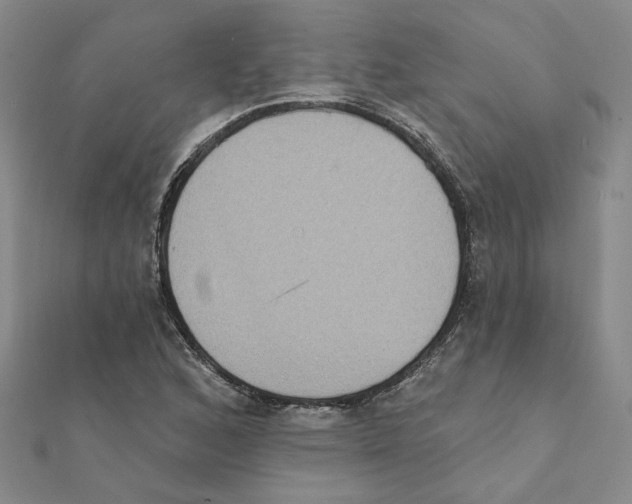 X0000111221168200907301219