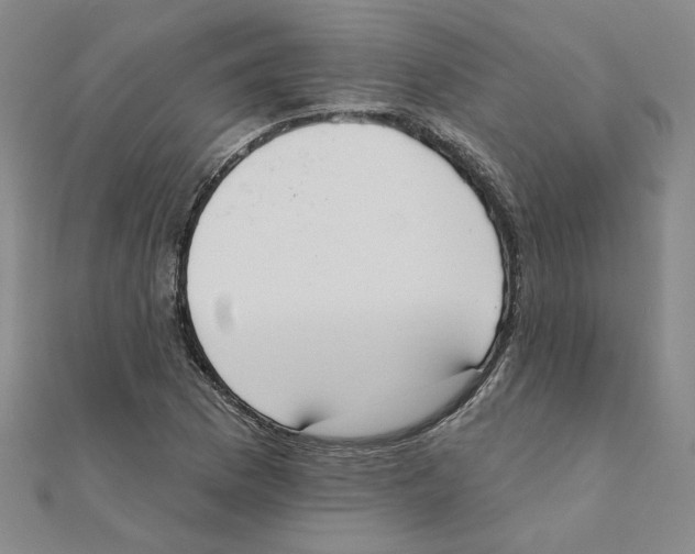 X0000111221169200907301219