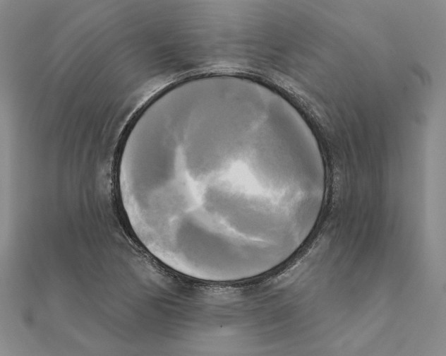 X0000111221170200907301219