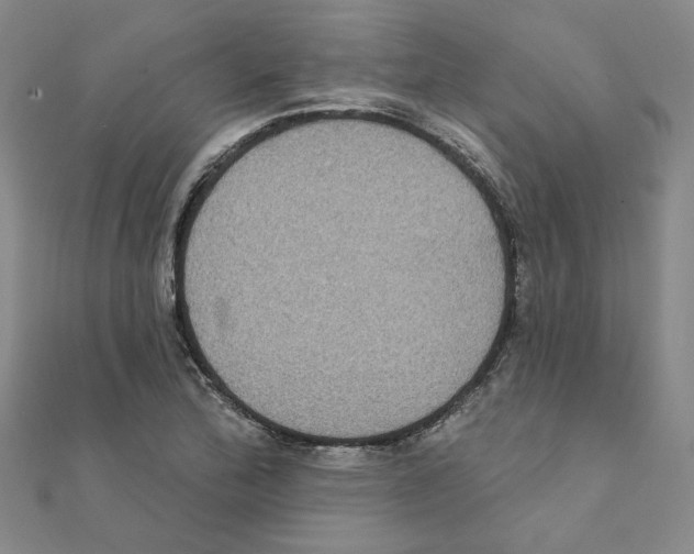 X0000111221172200907301219