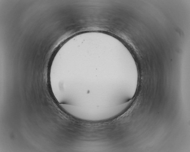 X0000111221173200907301219