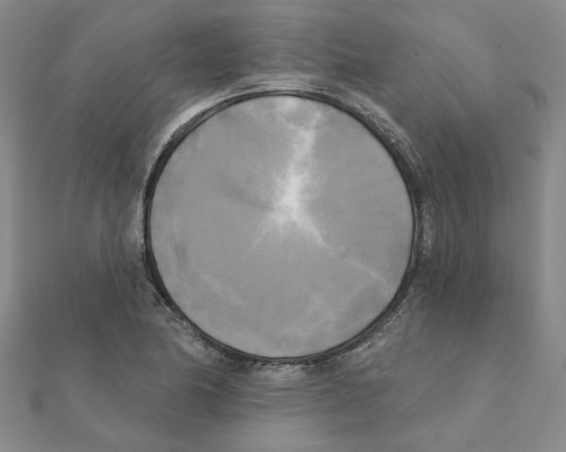 X0000111221174200907301219