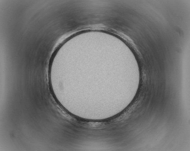 X0000111221176200907301219