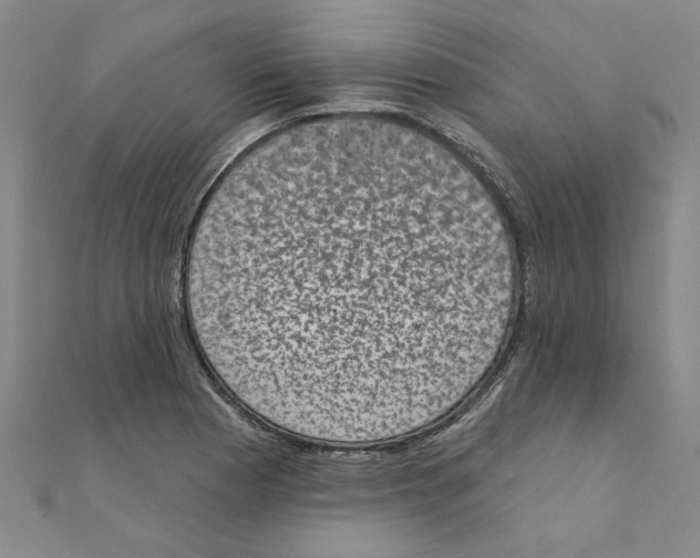 X0000111221177200907301219