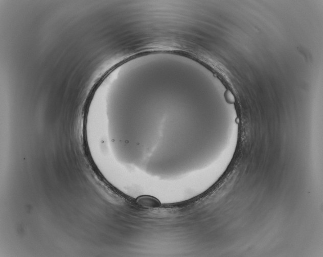X0000111221179200907301219