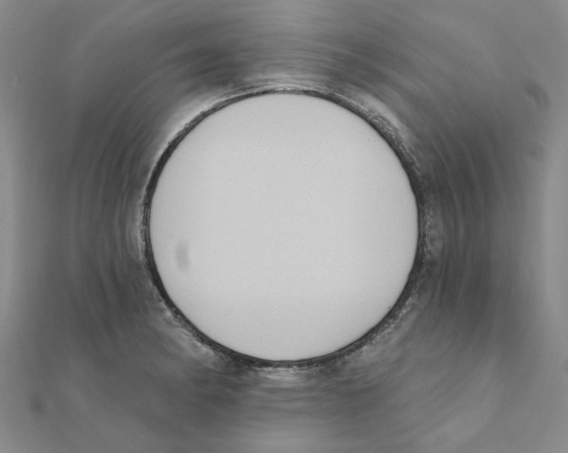 X0000111221182200907301219