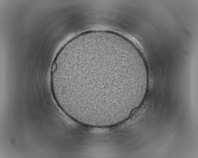 X0000111221183200907301219