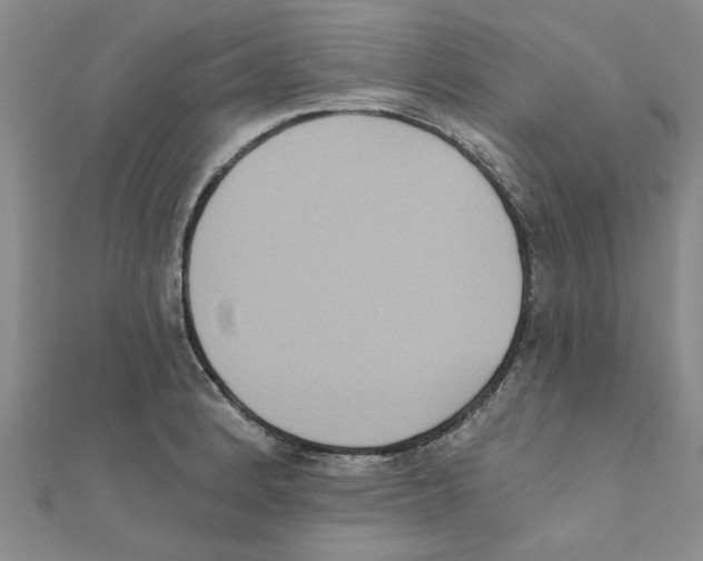 X0000111221184200907301219