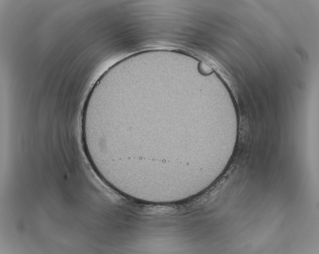 X0000111221187200907301219